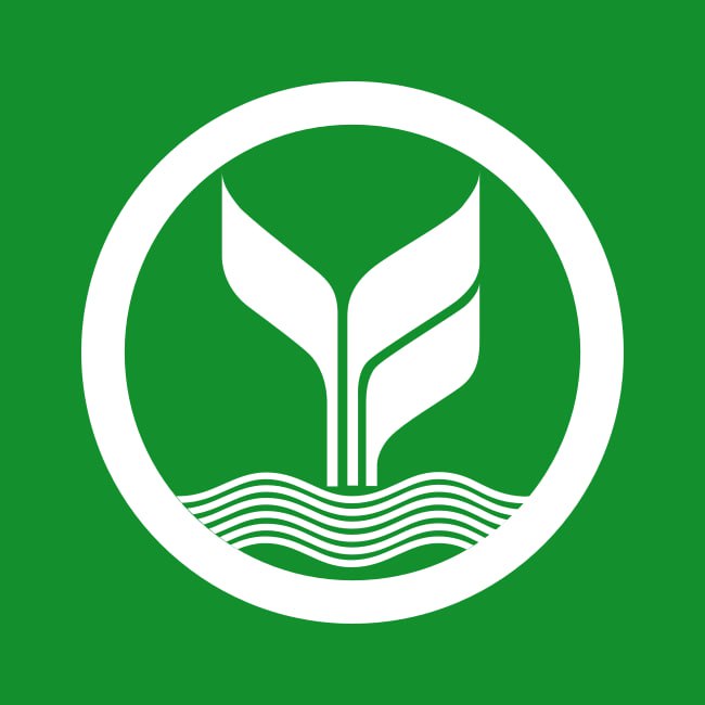 amb33