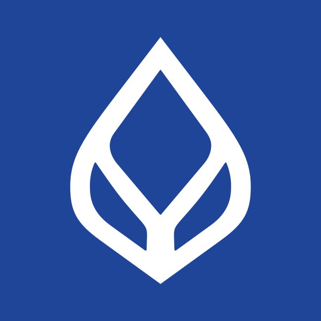 amb33